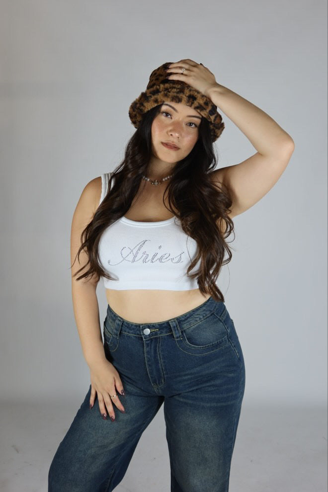 Aries Top